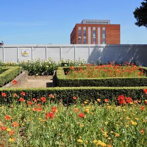 Civic Centre Opportunity Site